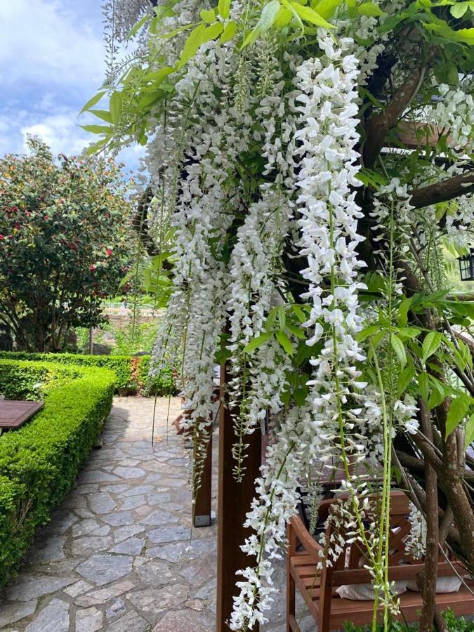 El Balcon Del Eume, Cantina Rio Coves 蓬特德乌梅 外观 照片